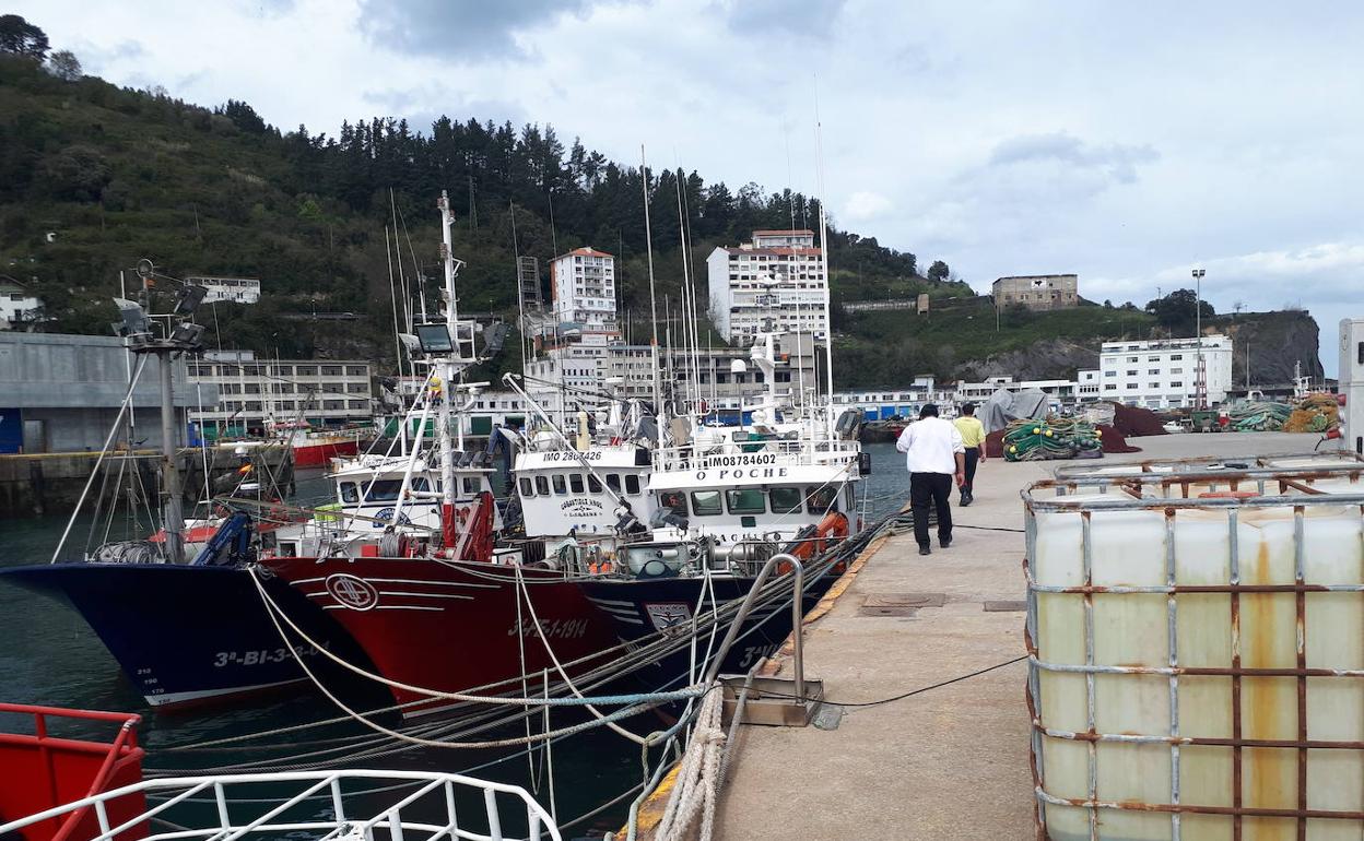 Barcos amarrados en Ondarroa el lunes. 