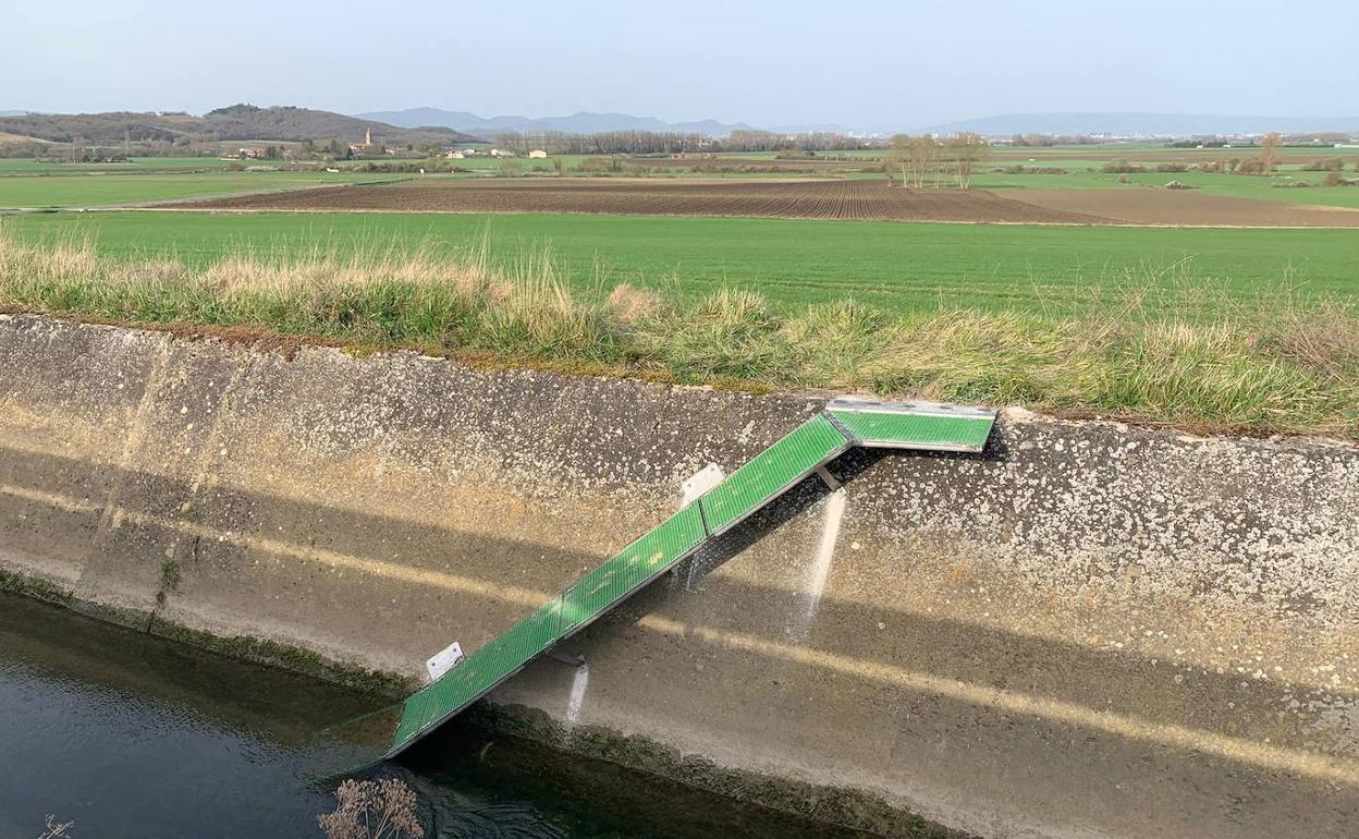 La rampa instalada en el canal del río Alegría a su paso por Argómaniz.