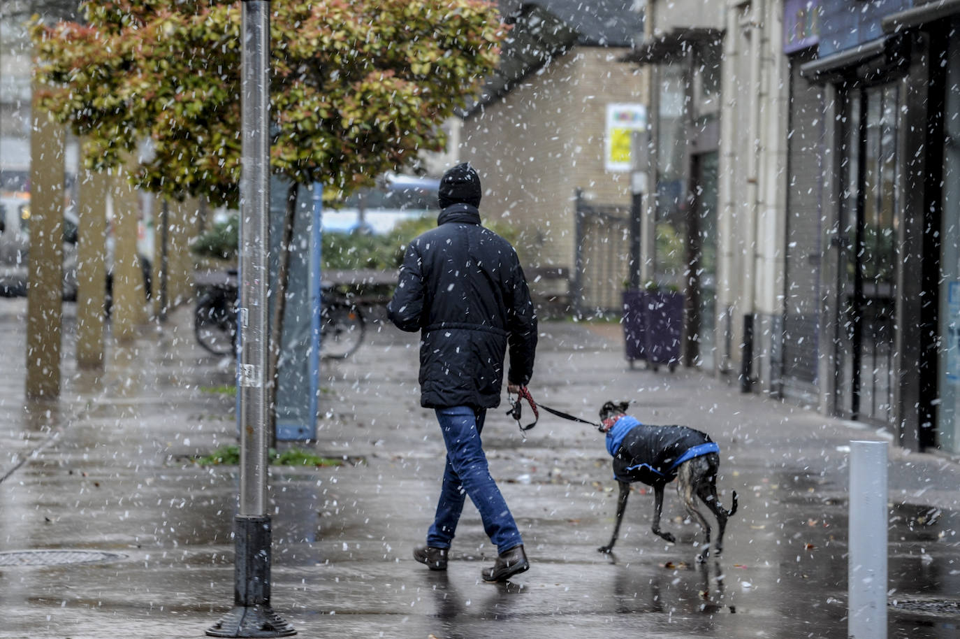 Un hombre pasea a un perro por una calle de Vitoria, donde ha nevado de forma intermitente durante este viernes.