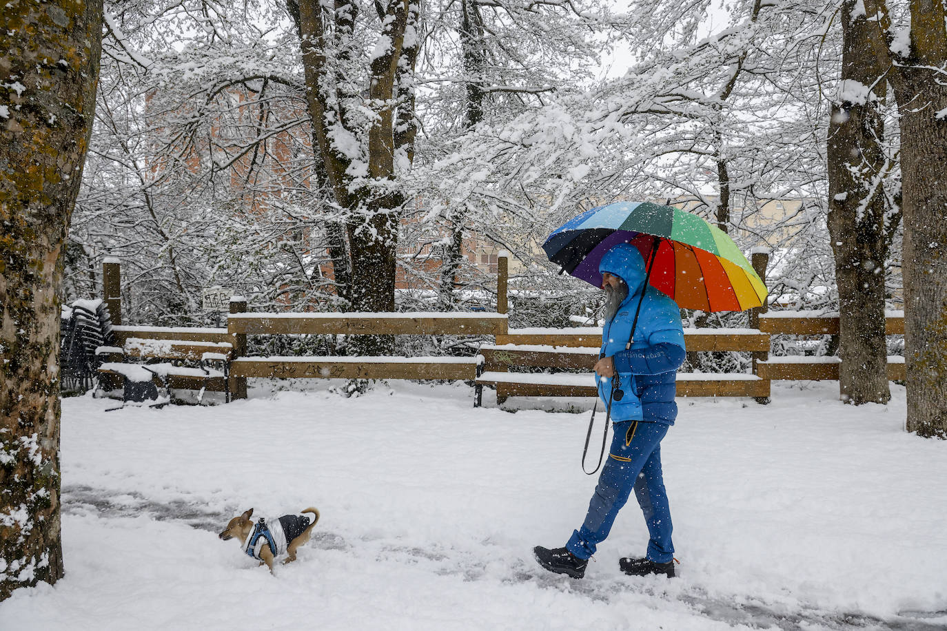 Fotos: El temporal de nieve sorprende a Vitoria y Álava en primavera