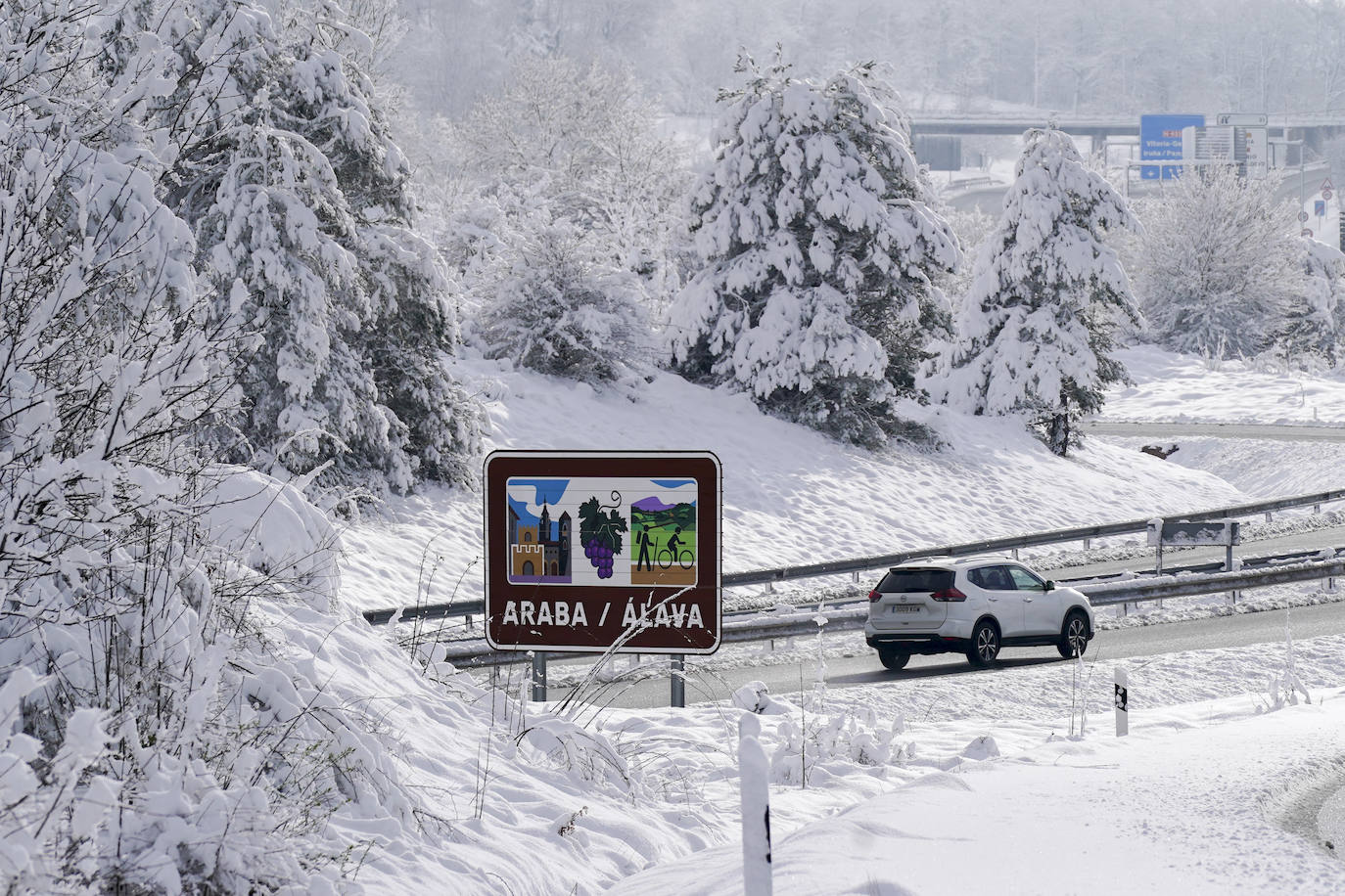 Fotos: El temporal de nieve sorprende a Vitoria y Álava en primavera