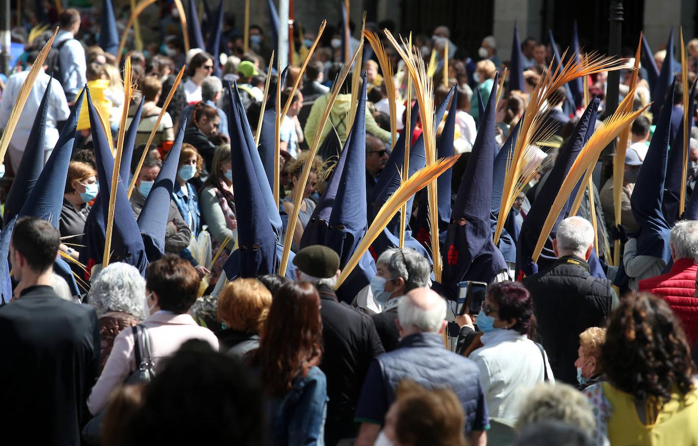 Fotos: La procesión del Borriquito triunfa en Bilbao
