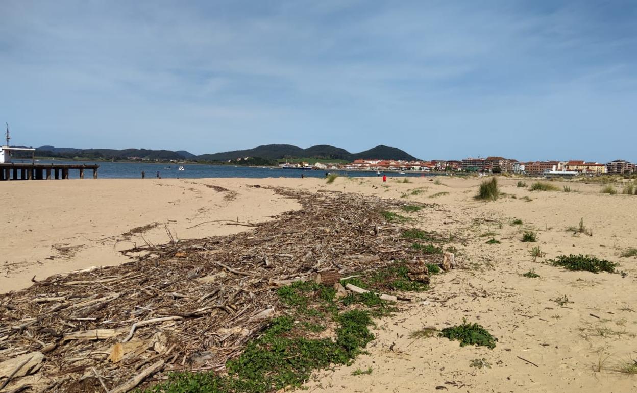 Resto de una riada en la playa de Laredo. 