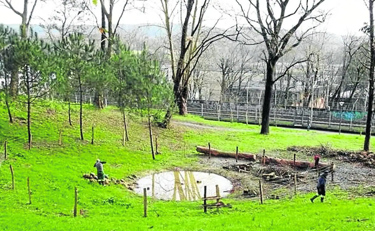 Imagen de los trabajos para instalar un cercado en una de las balsas de anfibios existentes en Getxo. 