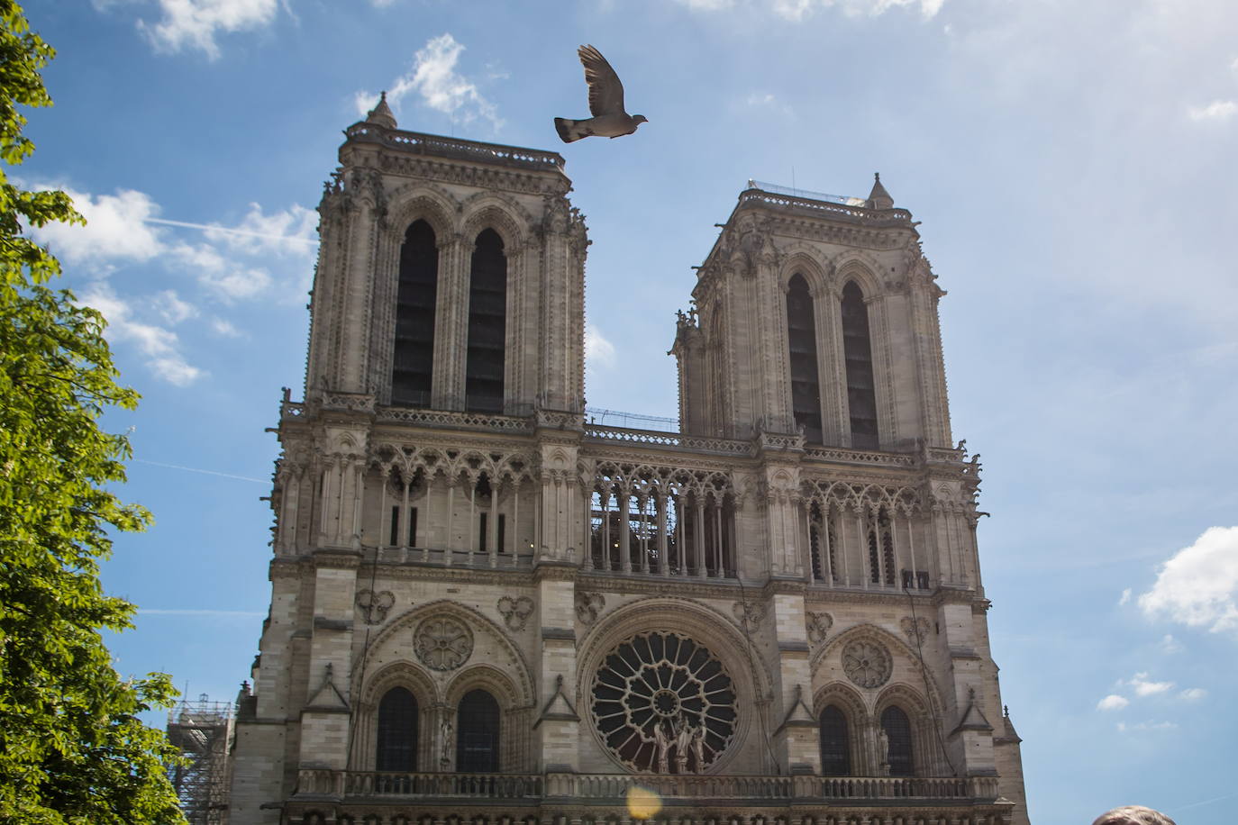 Fotos: La catedral de Notre Dame, tres años después de su incendio