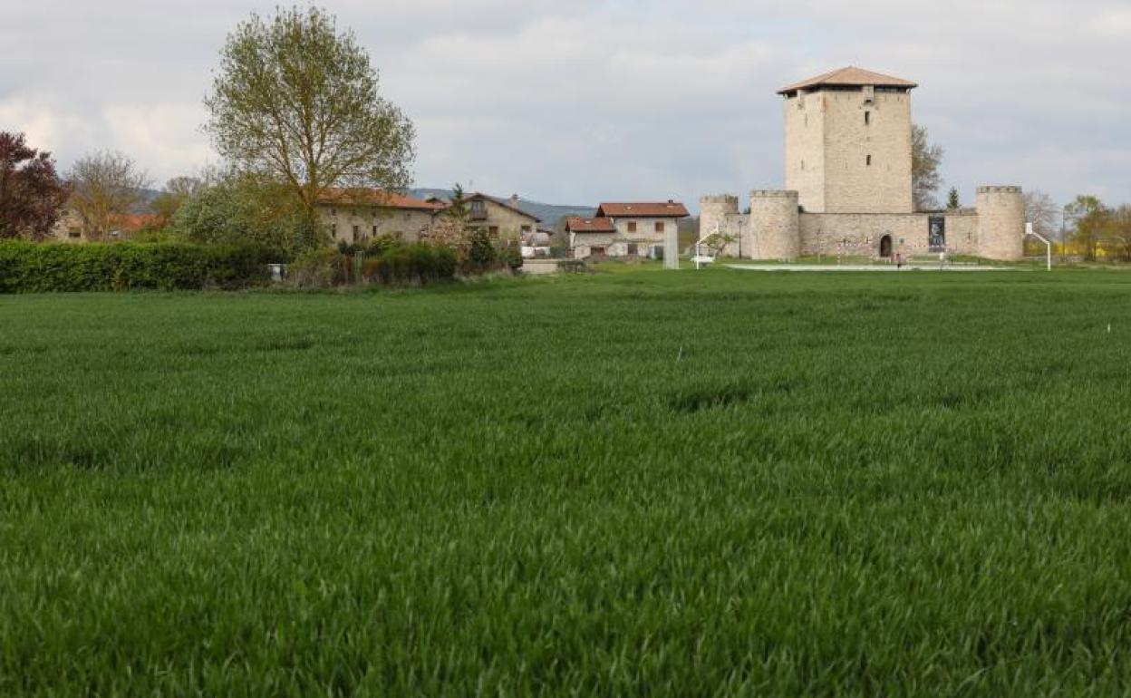 Algunos de los terrenos donde se plantean viviendas se encuentran cerca de la Torre de Mendoza.