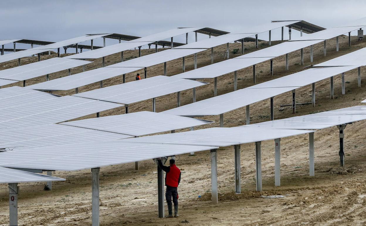 Un operario ajusta unos paneles solares en una planta fotovoltaica.