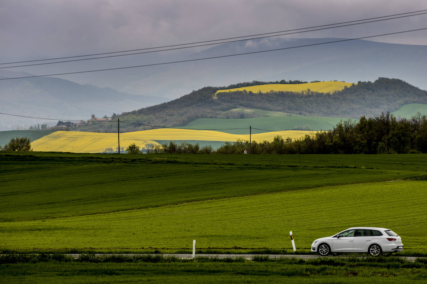 El intenso amarillo que caracteriza a los campos de colza destaca entre el verde de los campos que rodean Hijona.