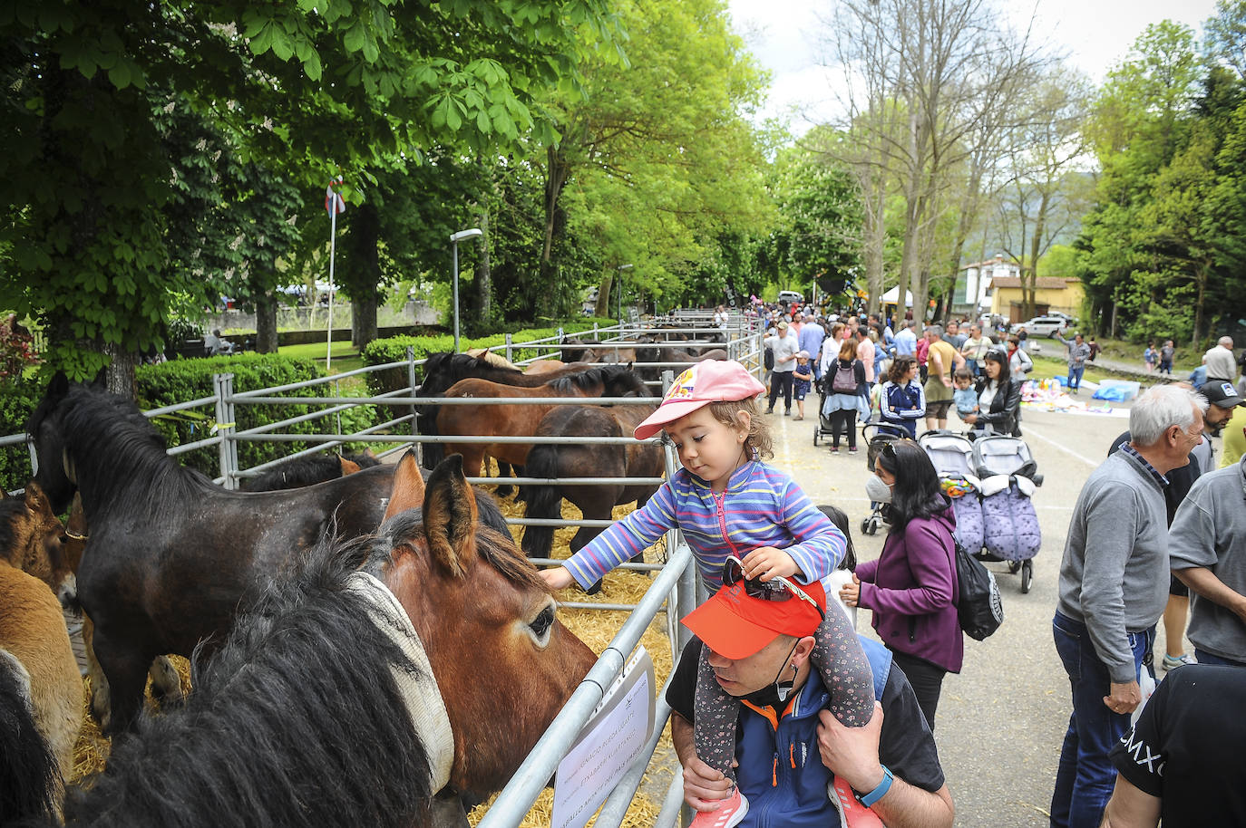 Fotos: Ambientazo en la Feria del Perritxiko de Kuartango