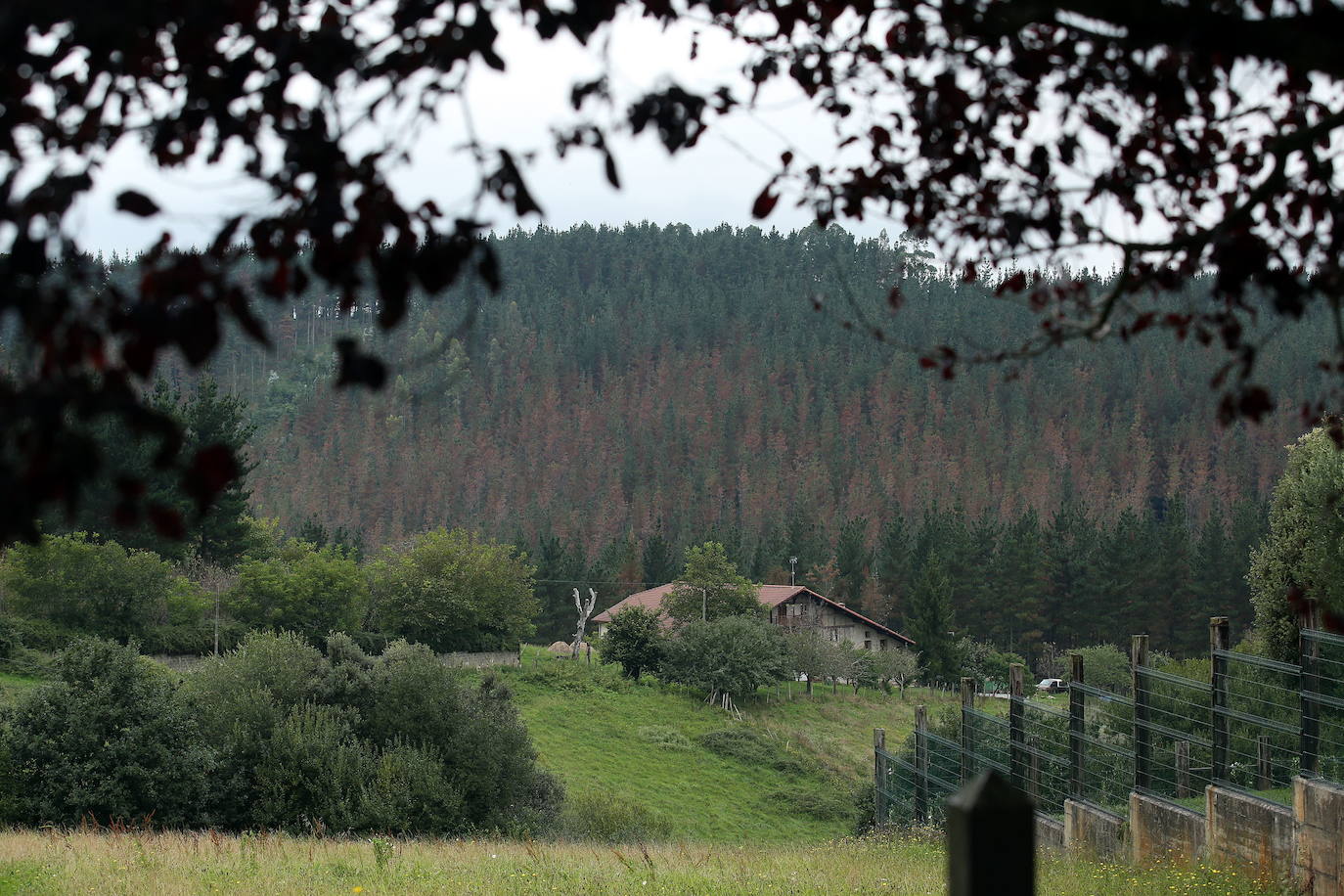 Desde Morga arrancan varias rutas de senderismo para disfrutar en familia.