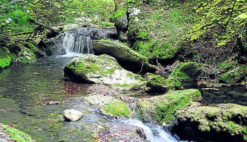 El río Purón ha excavado kilómetros de roca en un extremo del parque de Valderejo (Valdegovía) y es posible recorrer un largo tramo para observar este capricho de la naturaleza.