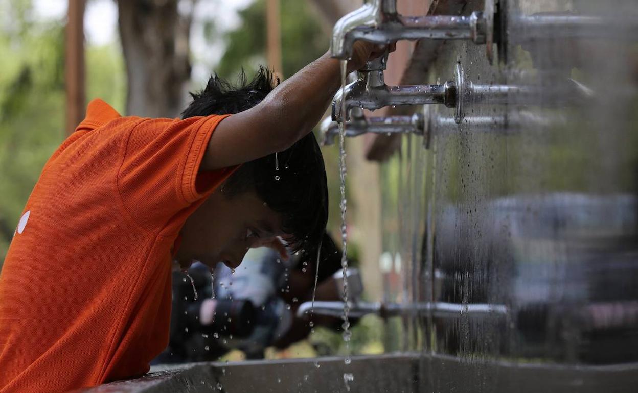 Tenperatura ikaragarriok astebetez baino gehiago luzatzen ari dira. 