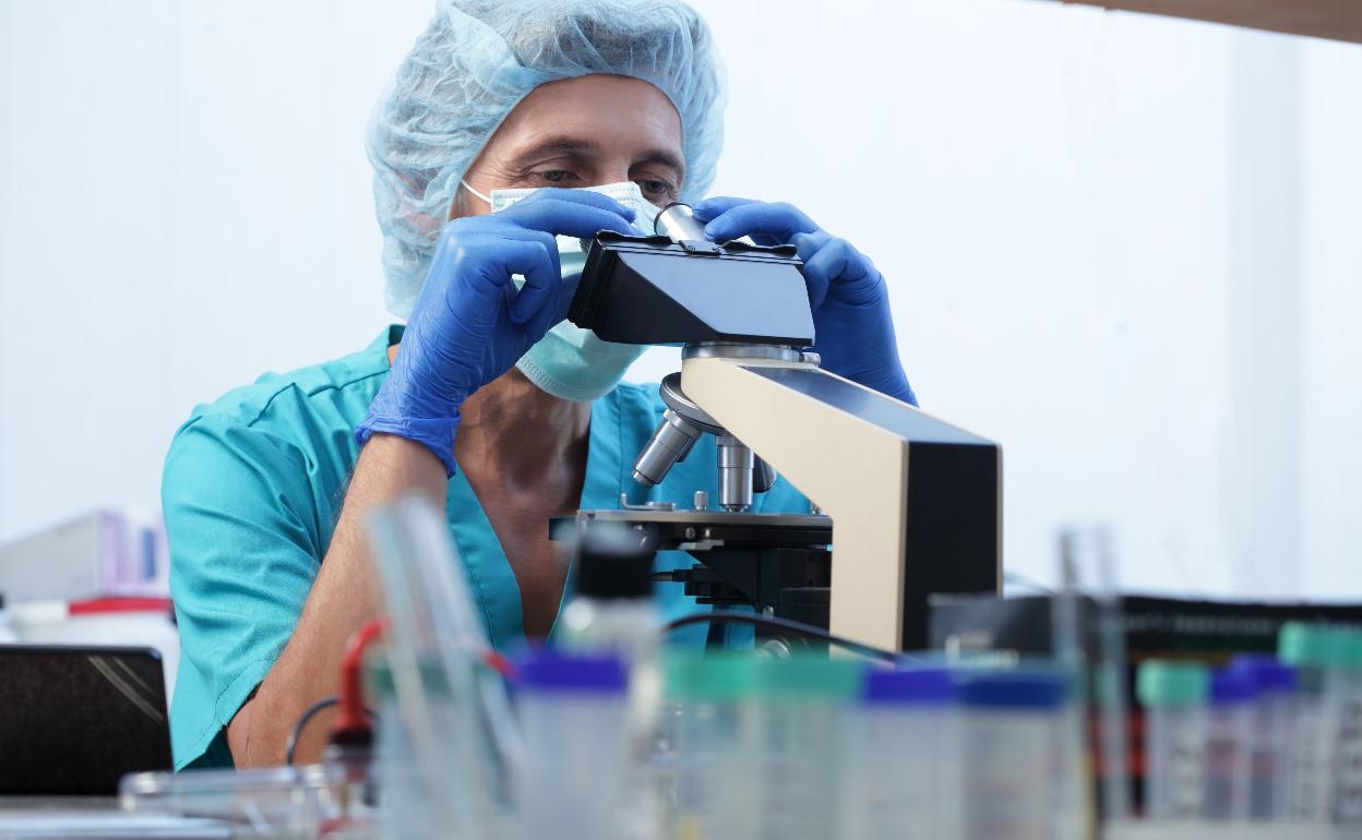 Un laboratorio vasco abre una nueva vía para la curación del cáncer