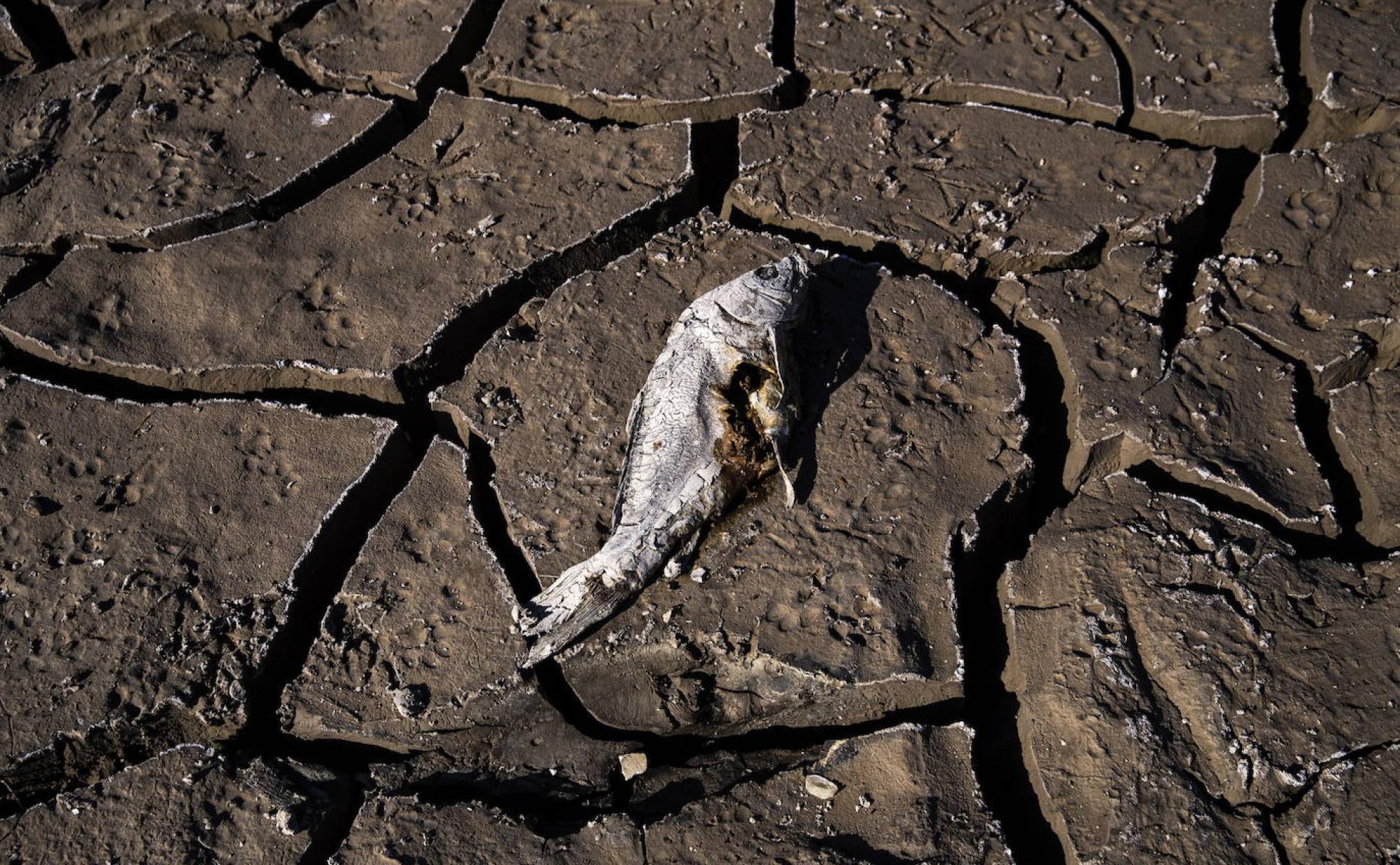 Sequçia en la Lago de Mead, en Boulder, Nevada, Estados Unidos. 