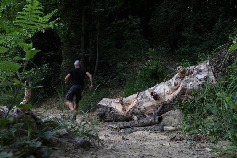 Fotos: Aparecen unas misteriosas tallas en Atxanda