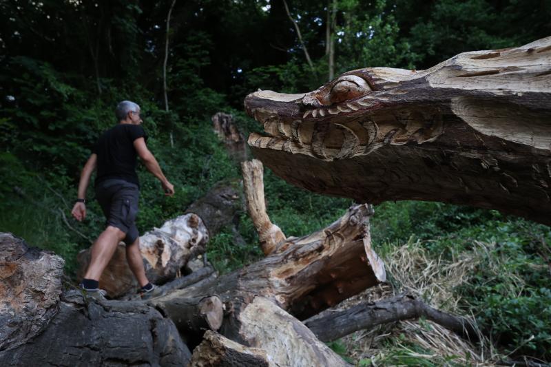 Fotos: Aparecen unas misteriosas tallas en Atxanda