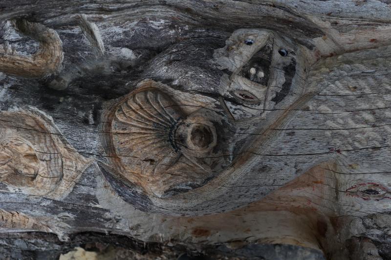 Fotos: Aparecen unas misteriosas tallas en Atxanda