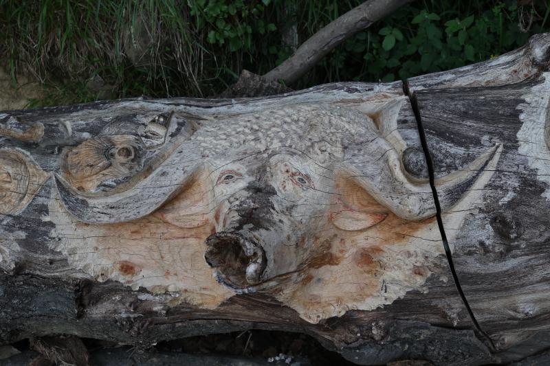 Fotos: Aparecen unas misteriosas tallas en Atxanda