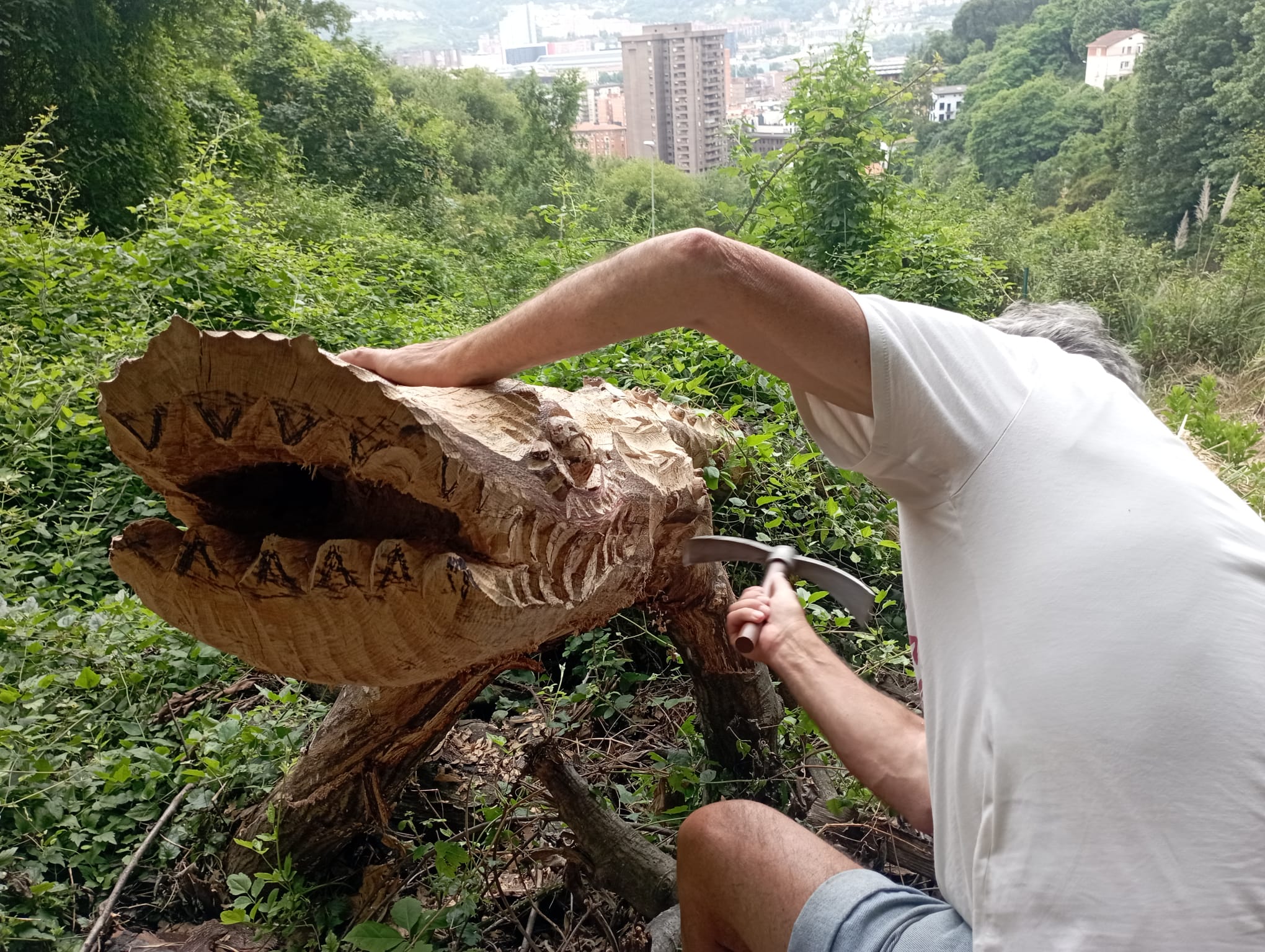 Fotos: Aparecen unas misteriosas tallas en Atxanda