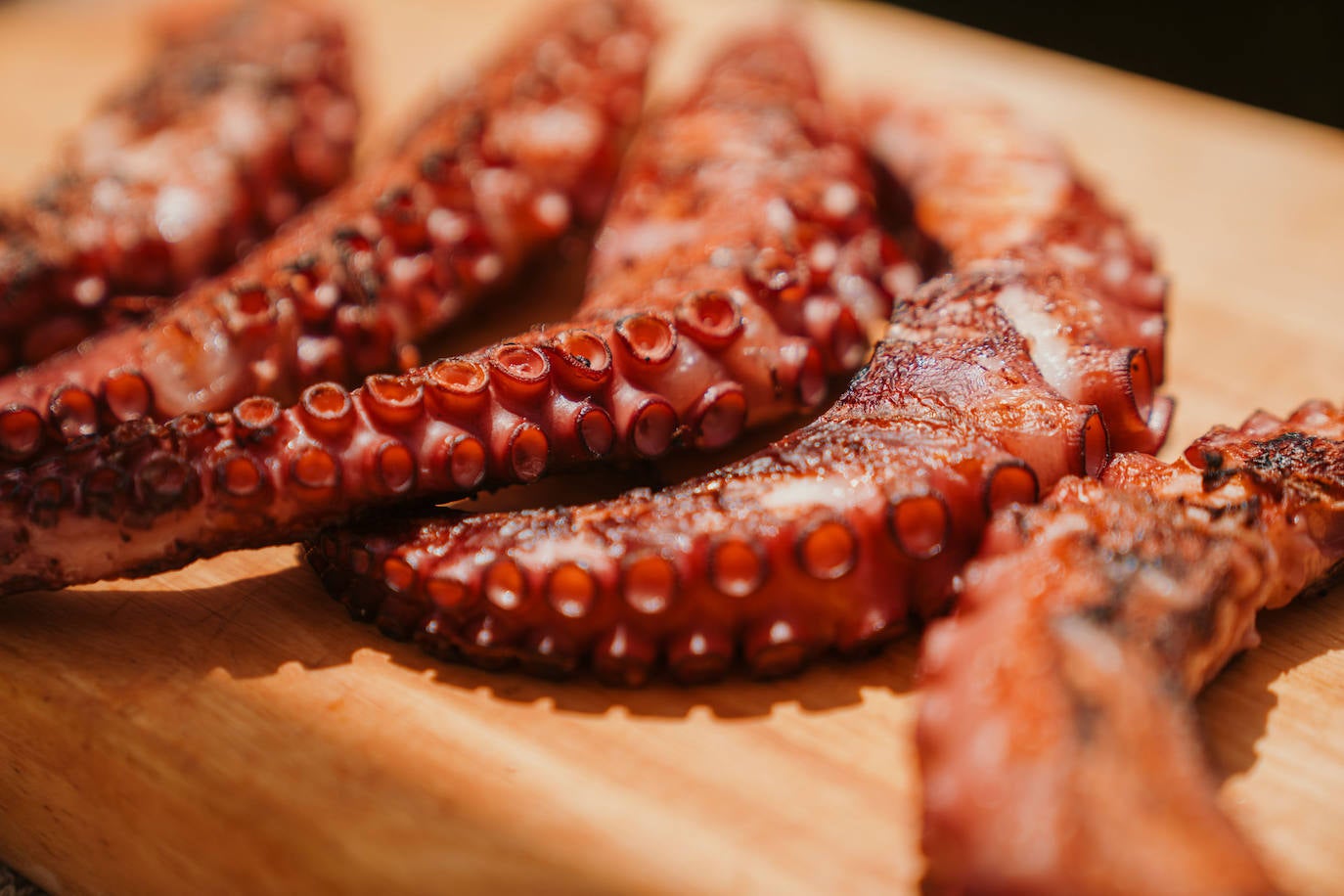 Fotos: La boda circense de Isma, de &#039;El Conquistador del Caribe&#039;, e Iraia en el Valle de Arratia