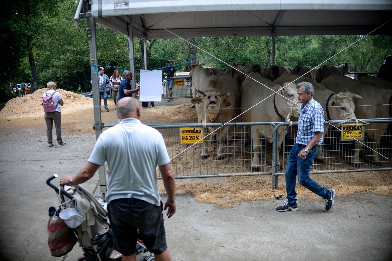 Fotos: La fiesta de San Antonio en Urkiola en imágenes