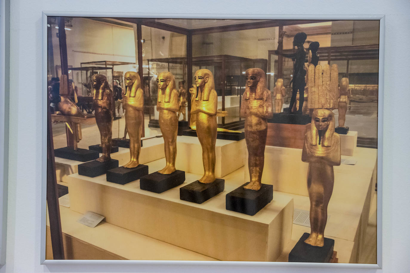 Fotos: El Bibat acoge la exposición &#039;Tutankhamon, 100 años de fascinación&#039;