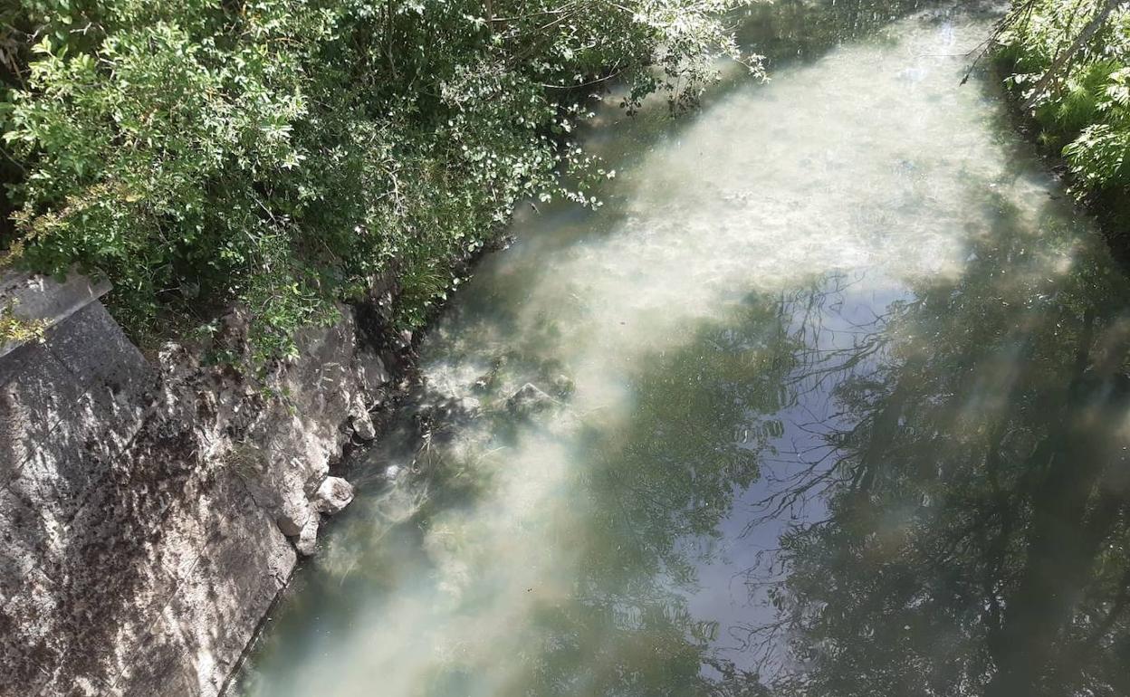 El vertIdo está acumulando materia grasa y orgánica en el río que impide la vida. 