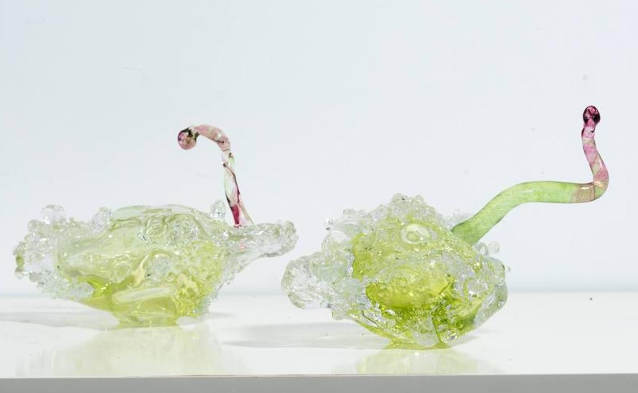 'Hidra', de Anabel Quincoces.