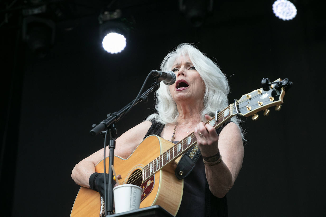 Fotos: Emmylou Harris, en imágenes