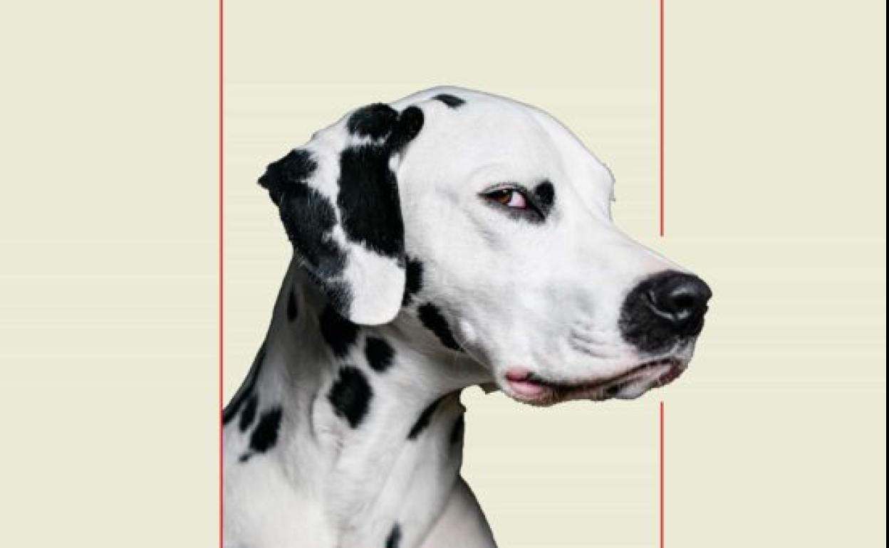 'La gran serpiente' de Pierre Lemaitre