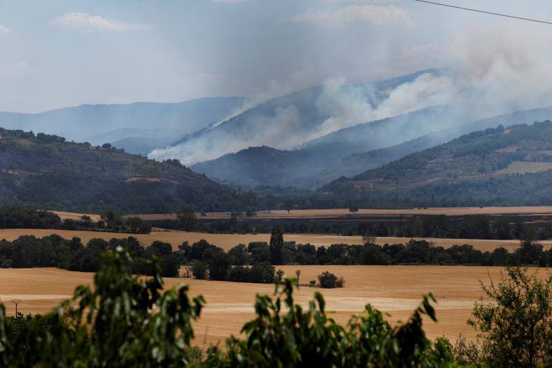 Fotos: Navarra arde por el calor extremo