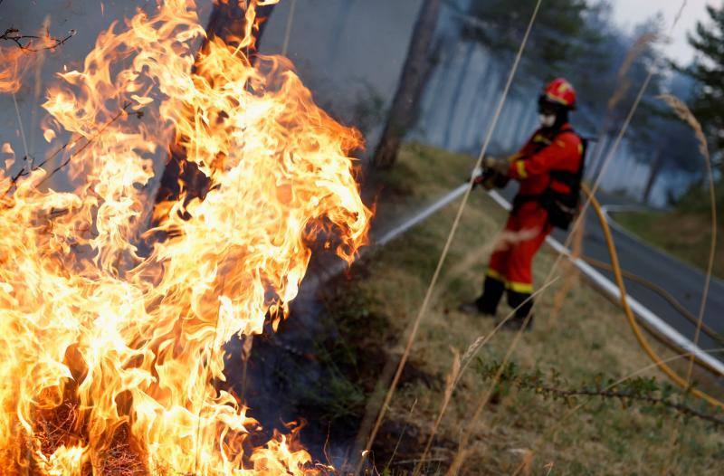 Fotos: Navarra arde por el calor extremo