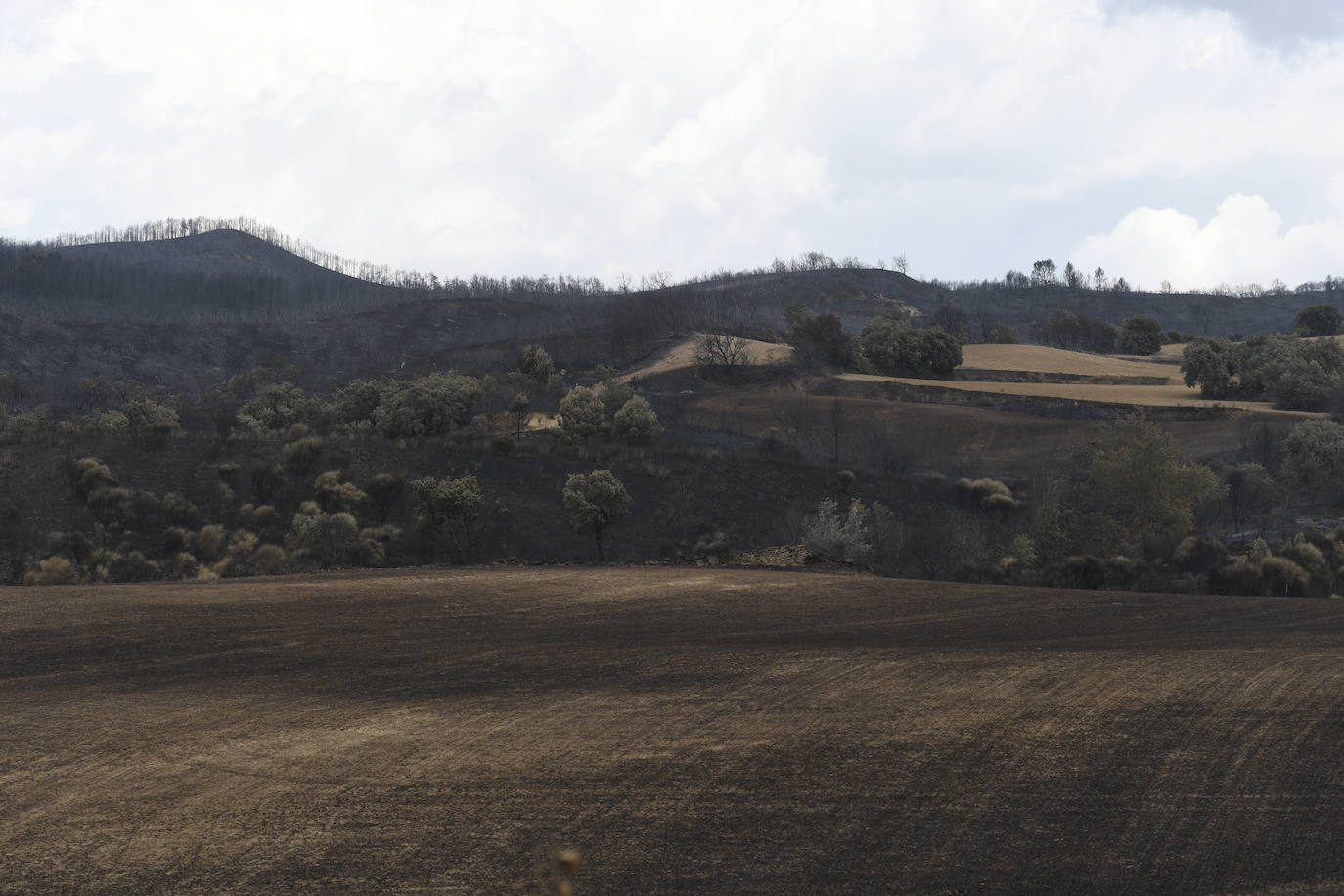 Fotos: Así han quedado los pueblos navarros afectados por los incendios