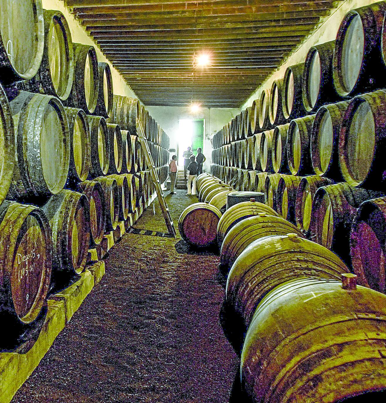 «En cuanto el Gobierno vasco publique la resolución en el BOE el consejo regulador podrá echar a andar», dice la presidenta de ABRA.