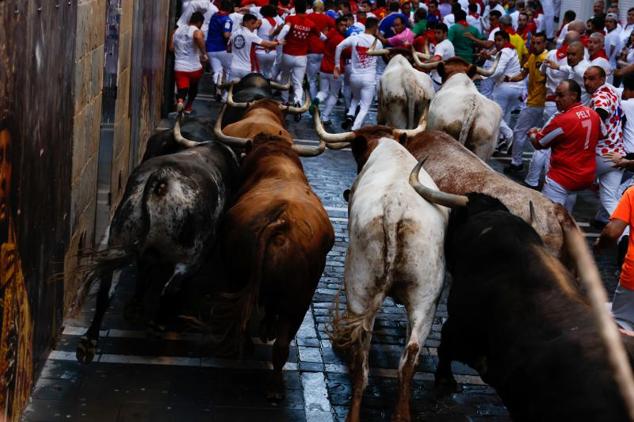 Las reses de la ganadería de La Palmosilla, a la carrera.