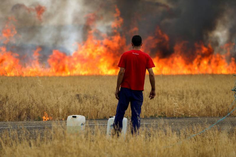 Fotos: Los incendios devoran Zamora