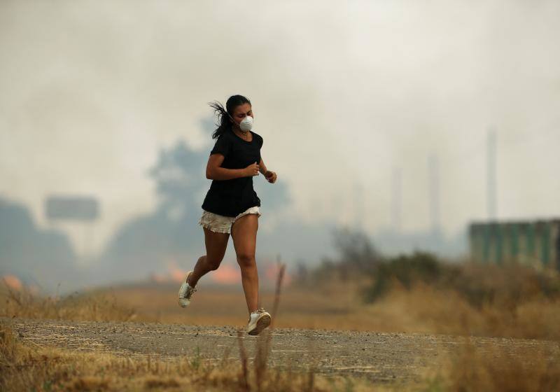 Fotos: Los incendios devoran Zamora