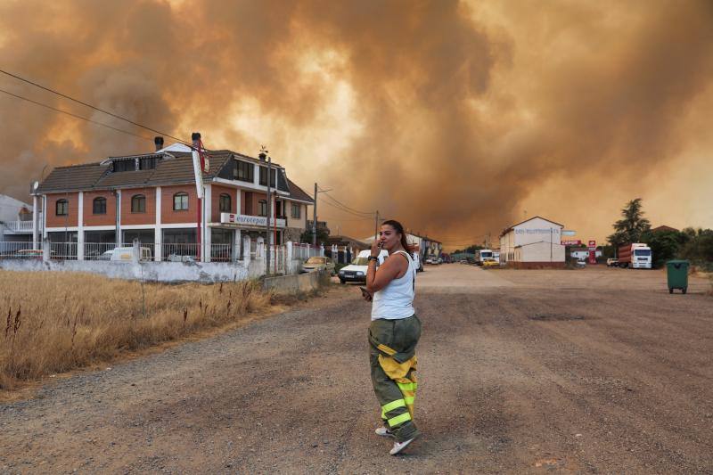 Fotos: Los incendios devoran Zamora