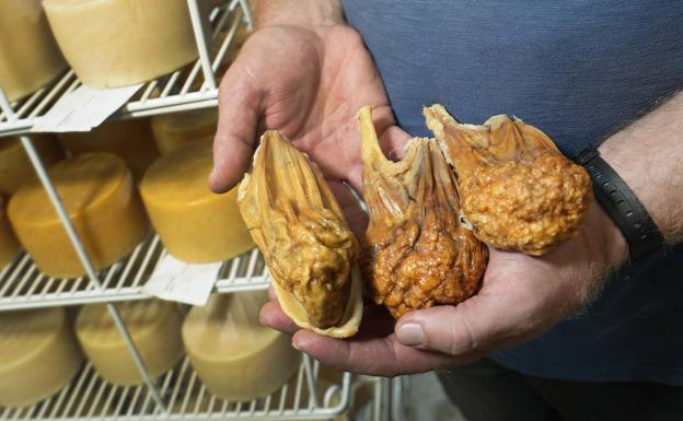 Con estómagos de cordero secos (que contienen la primera leche) se prepara el cuajo natural que emplea la familia para elaborar sus quesos.