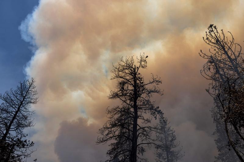 Fotos: Un incendio cercano al Parque de Yosemite (California) pone en peligro sus secuoyas gigantes