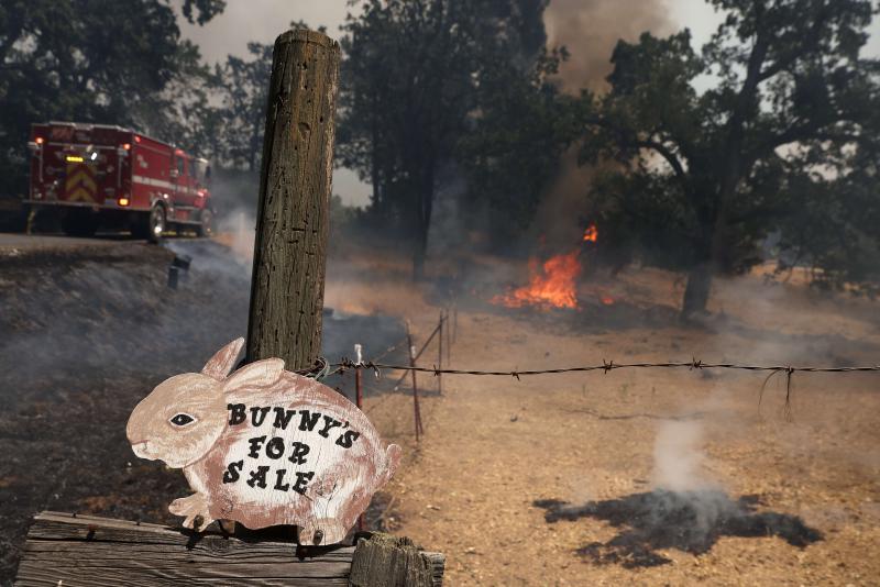 Fotos: Un incendio cercano al Parque de Yosemite (California) pone en peligro sus secuoyas gigantes