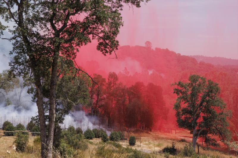 Fotos: Un incendio cercano al Parque de Yosemite (California) pone en peligro sus secuoyas gigantes