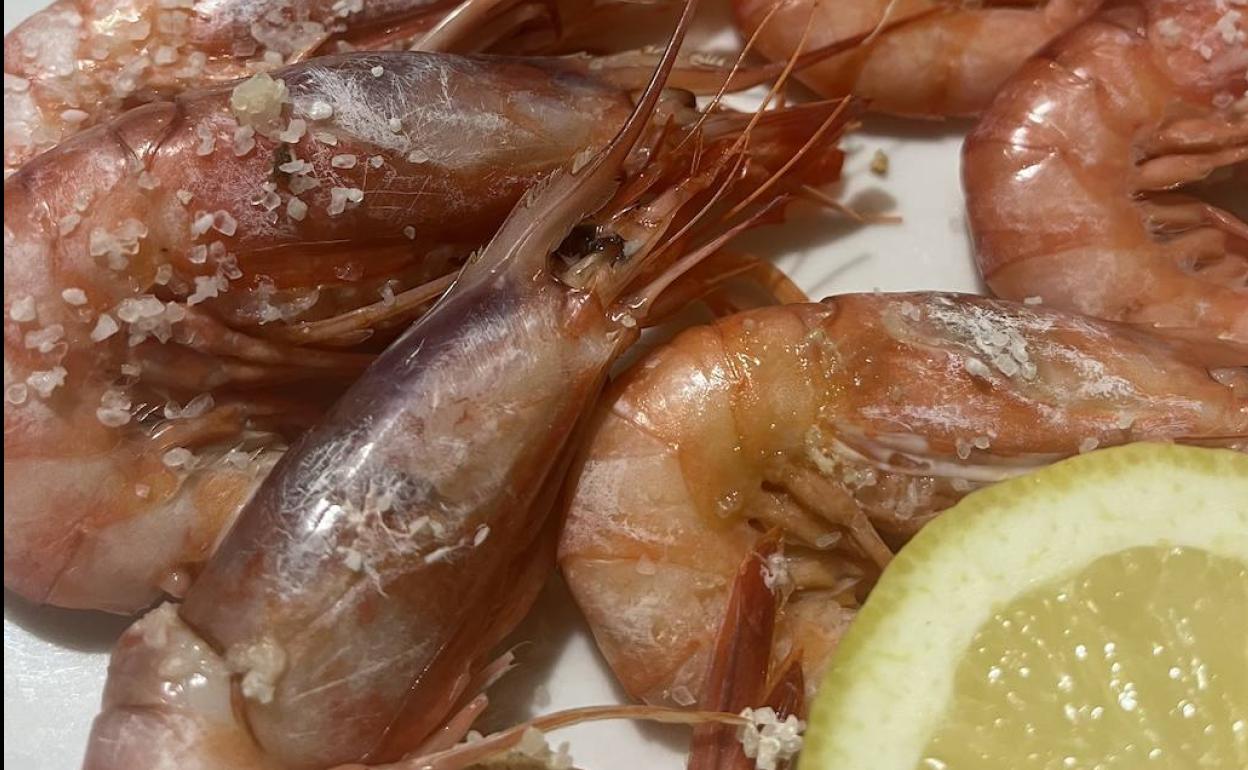 Bar Mal Pas, el rincón más fresco de Benidorm