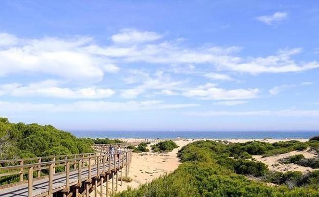Playa de Carabassí, Elche. Este arenal está protegido, aislado y sin paseo marítimo, lo que proporciona una mayor sensación de descubrimiento. Destaca por tener una zona nudista y por su entorno natural de gran valor ecológico, rodeado de dunas.