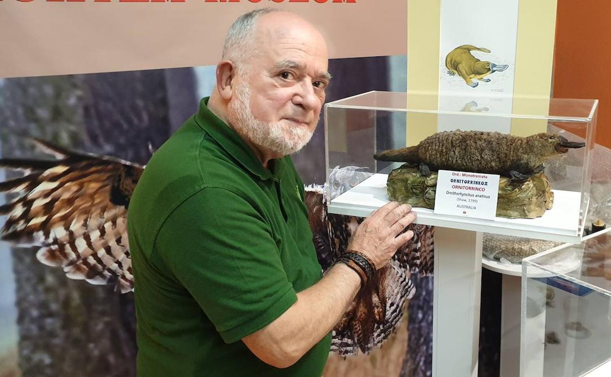 Enrike Huerta junto a su querido ornitorrinco, que considera la joya de Hontza. 