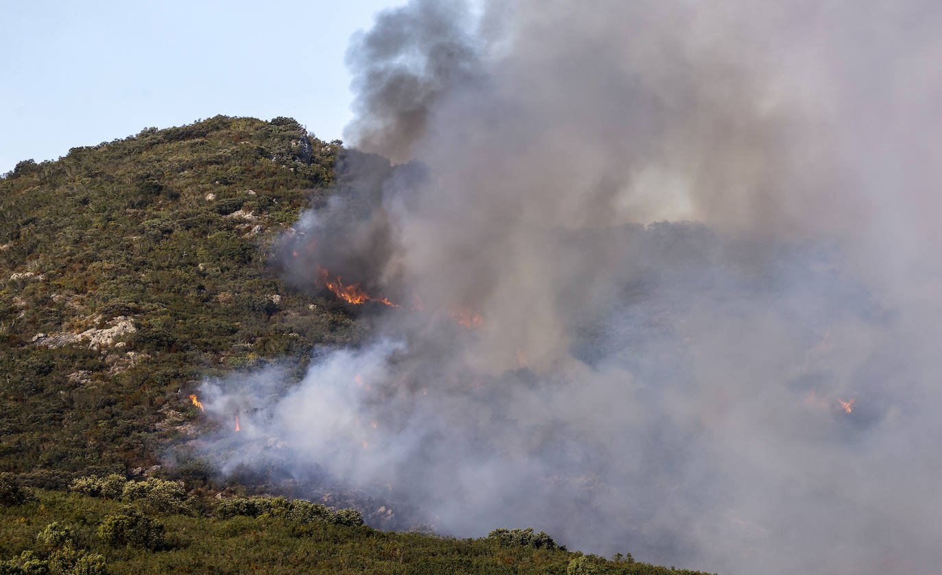 Fotos: Imágenes del incendio declarado en Zambrana