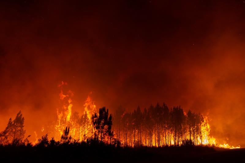 Fotos: Las espectaculares fotos del incendio