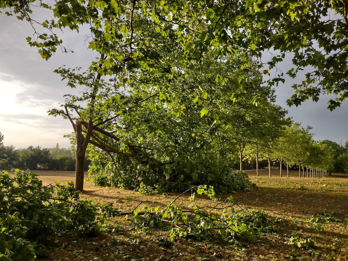 Fotos: Un fuerte aguacero sorprende a Vitoria