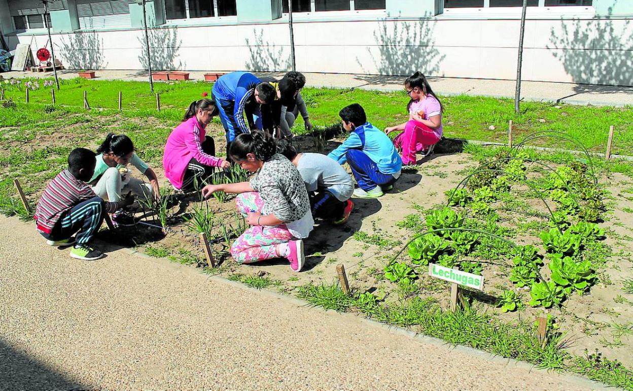La actividad se desarrollará en diez centros de Primaria y Secundaria de la ciudad. 