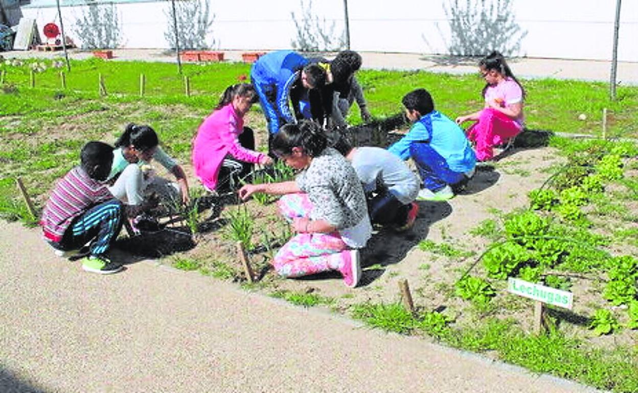 El concejal de Medio Ambiente cree que los huertos escolares podrán arrancar, sin problemas, cuando comience el curso.